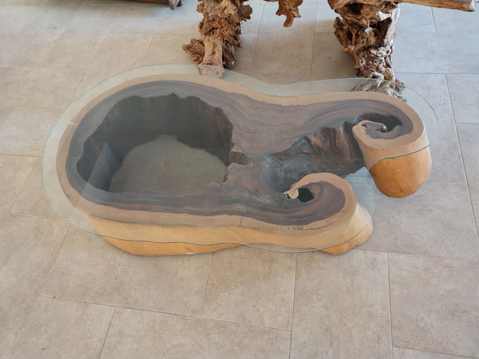 Plateau en verre sur table en racine, découpé à sa forme